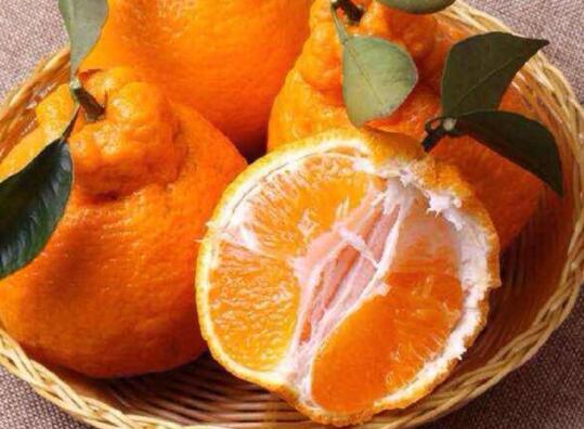 丑橘和粑粑柑哪个好吃(粑粑柑)