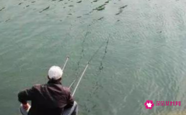 降温天气适合钓鱼吗(冬季降温好钓鱼吗)