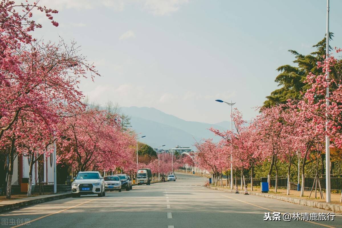 云南的城市有哪些城市(云南都有哪些城市)