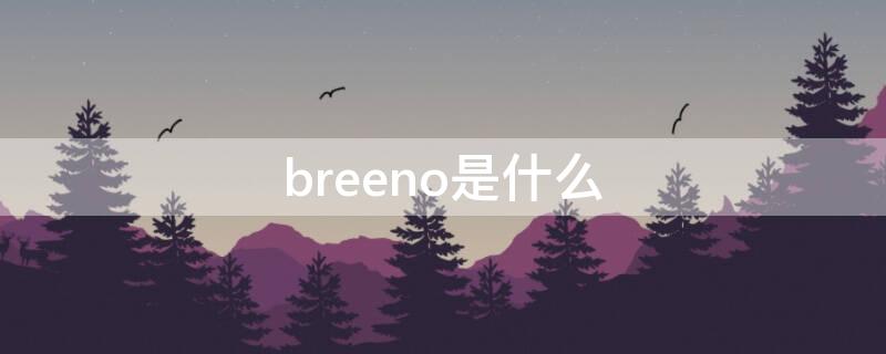 breeno什么意思(breeno是什么)