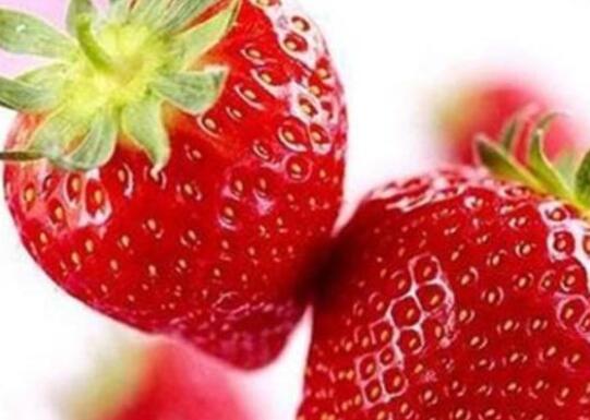 草莓表面有一层白霜能吃吗(草莓上有一层白霜能吃吗)