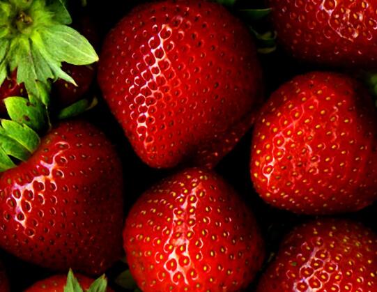 草莓表面粘粘的是喷的什么吗(一般往草莓上面喷什么)