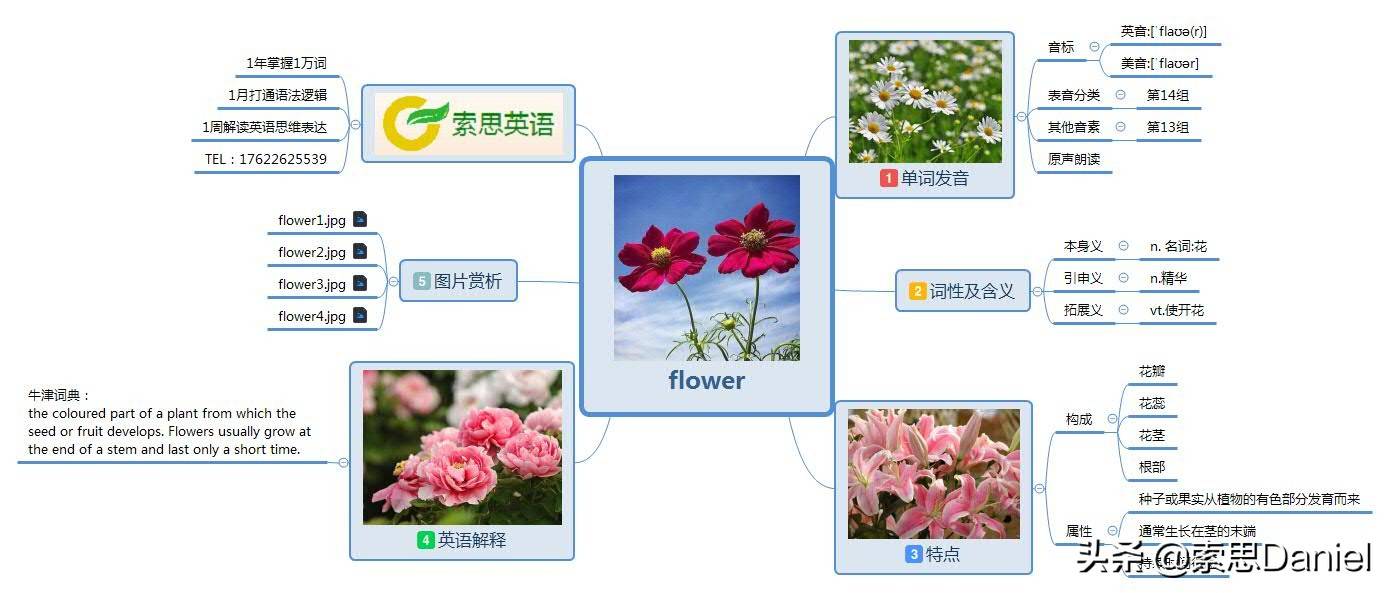 flower怎么读(flower怎么读)
